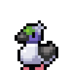 Bufflehead