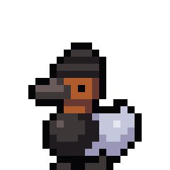 Canvasback